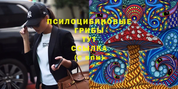 соль ск Россошь